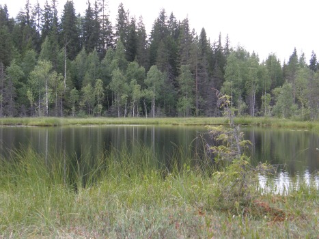 green lake