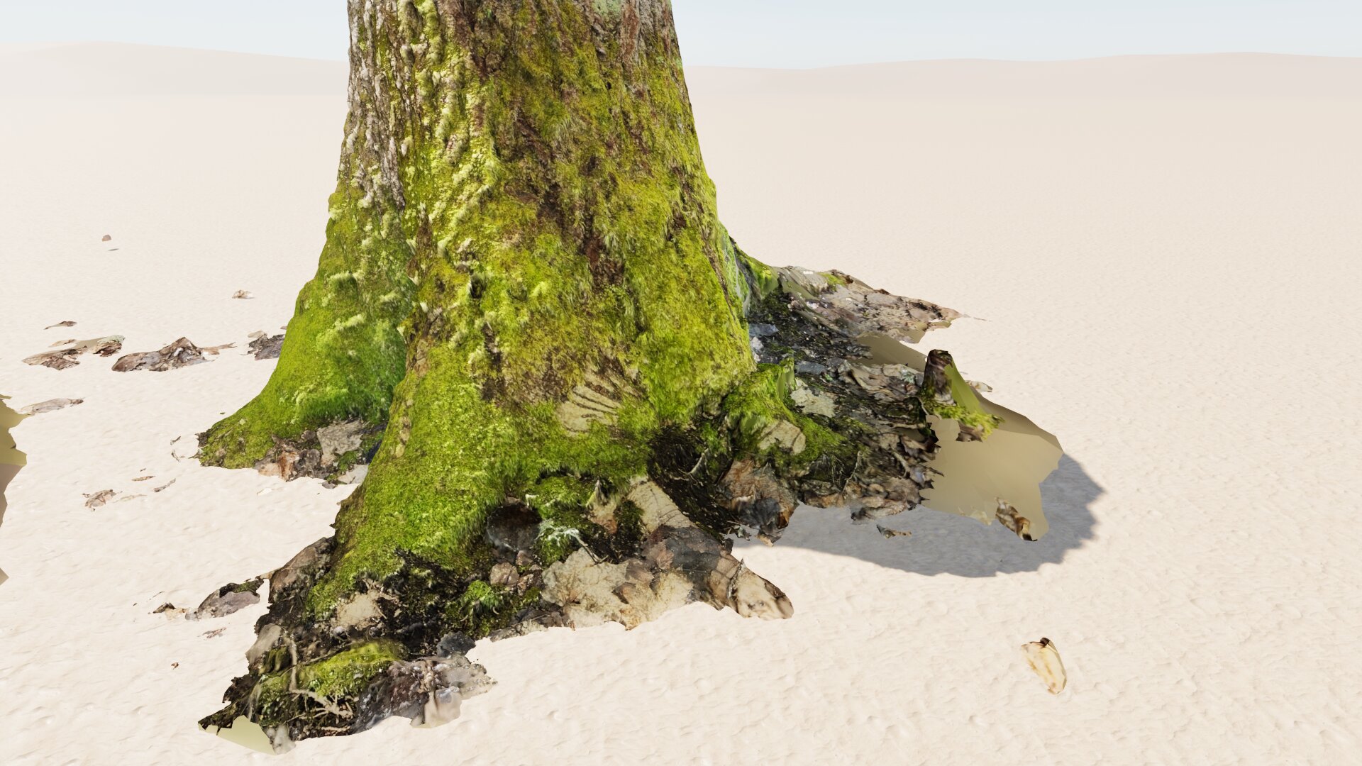 Stone Garden Matokallio Nature Reservate Tree Chopped 